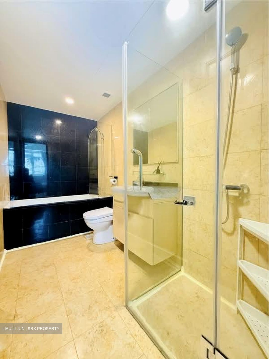 Jervois Regency (D10), Apartment #578234311